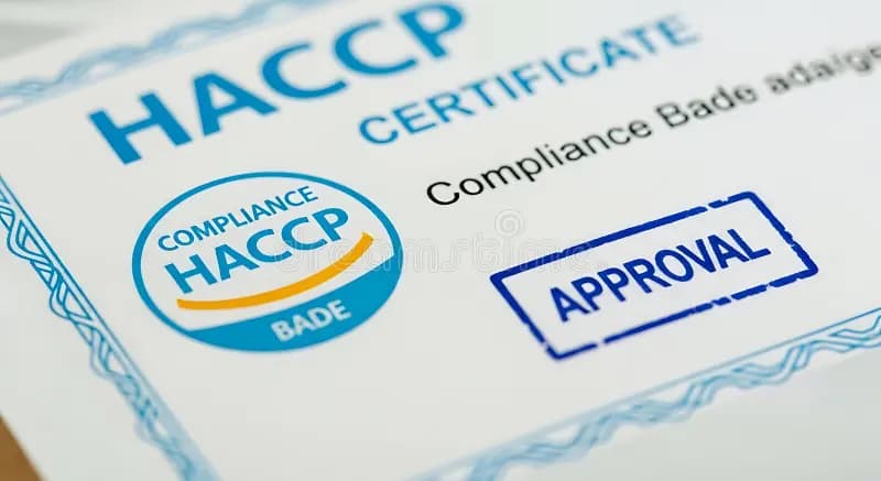 合规与风控知识