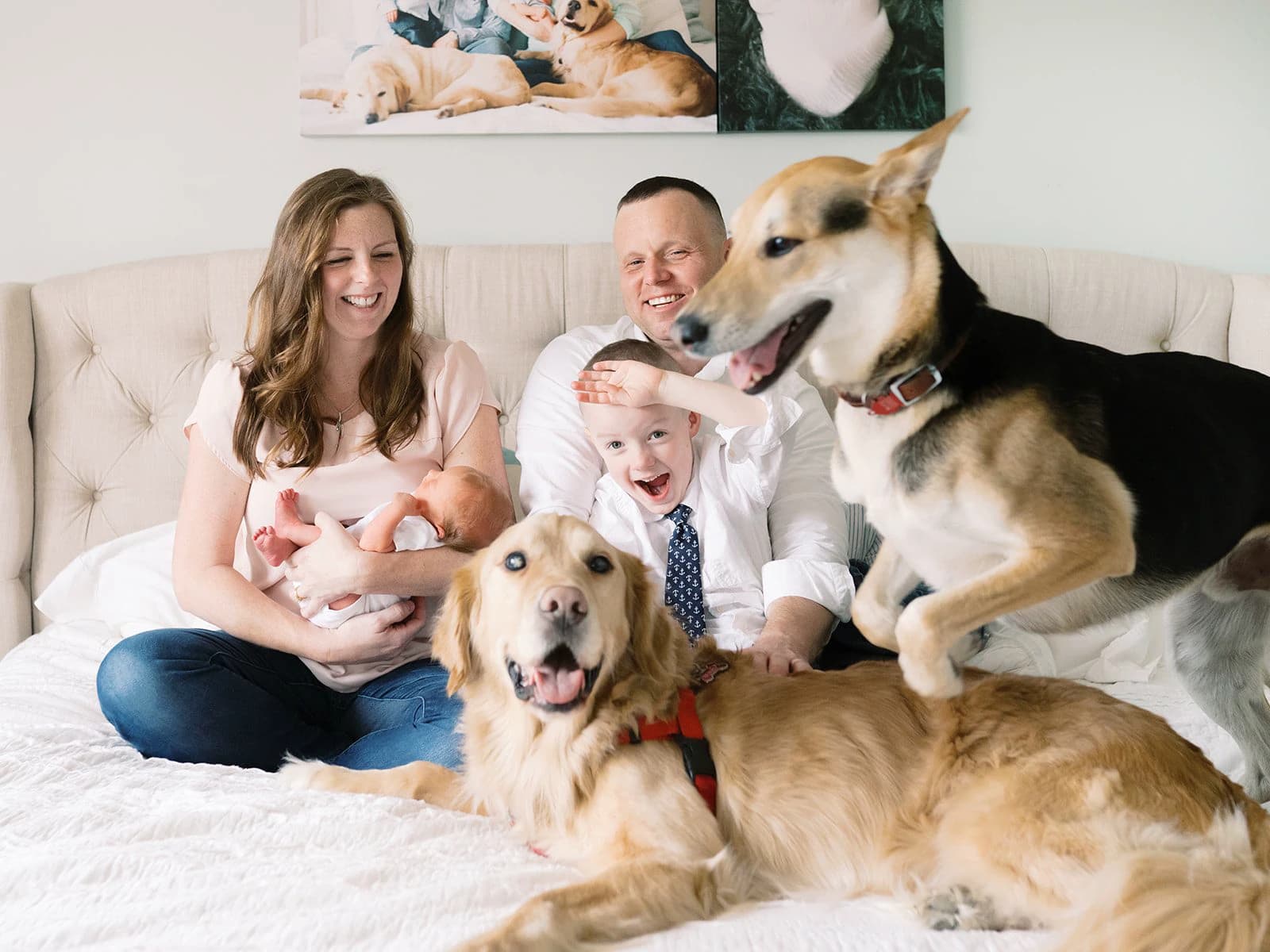 温馨家庭与宠物宝宝