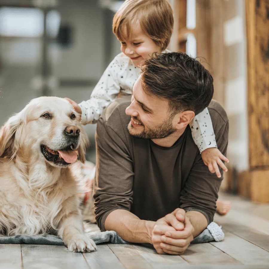 宠物家庭成员化